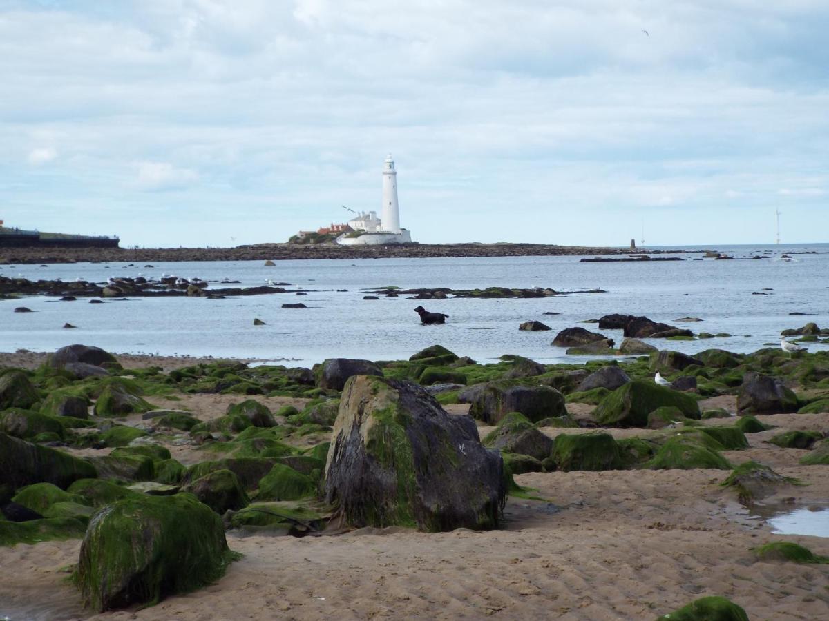 Boquhanran Caravan, Whitley Bay Hartley المظهر الخارجي الصورة